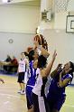 Basket 252037